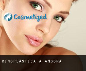 Rinoplastica a Angora