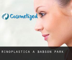 Rinoplastica a Babson Park