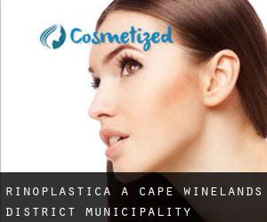 Rinoplastica a Cape Winelands District Municipality
