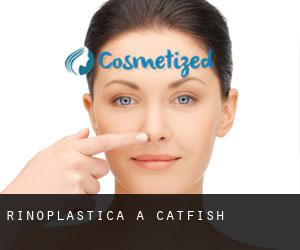 Rinoplastica a Catfish