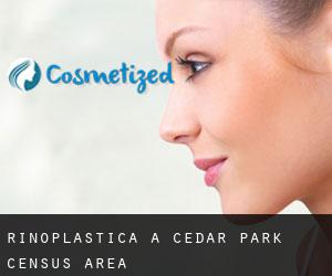 Rinoplastica a Cedar Park (census area)