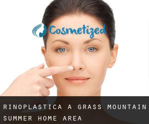 Rinoplastica a Grass Mountain Summer Home Area