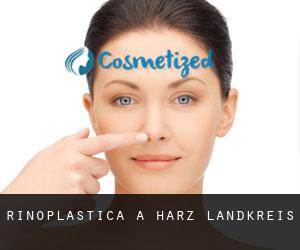 Rinoplastica a Harz Landkreis Rinoplastica a Harz Landkreis