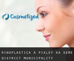 Rinoplastica a Pixley ka Seme District Municipality