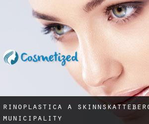 Rinoplastica a Skinnskatteberg Municipality Rinoplastica a Skinnskatteberg Municipality