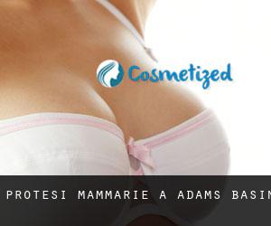 Protesi mammarie a Adams Basin