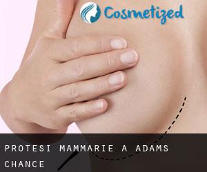Protesi mammarie a Adams Chance