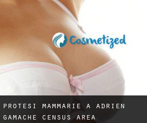 Protesi mammarie a Adrien-Gamache (census area)