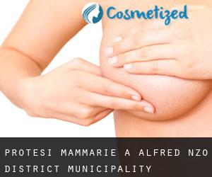 Protesi mammarie a Alfred Nzo District Municipality