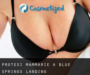 Protesi mammarie a Blue Springs Landing