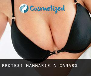 Protesi mammarie a Canaro