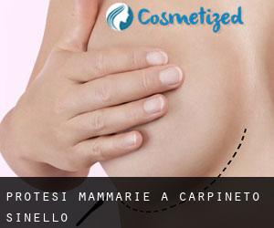 Protesi mammarie a Carpineto Sinello