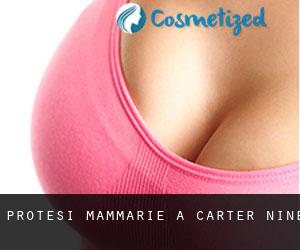 Protesi mammarie a Carter Nine
