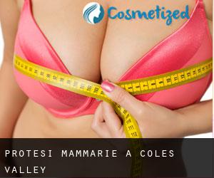 Protesi mammarie a Coles Valley