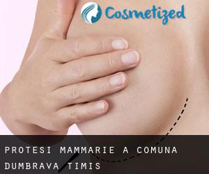 Protesi mammarie a Comuna Dumbrava (Timiş)