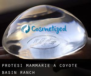 Protesi mammarie a Coyote Basin Ranch