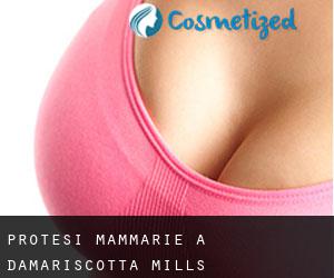 Protesi mammarie a Damariscotta Mills