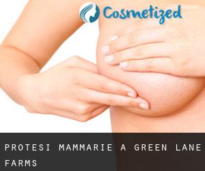 Protesi mammarie a Green Lane Farms