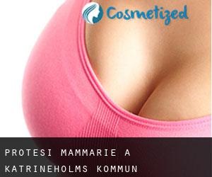 Protesi mammarie a Katrineholms Kommun