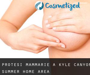 Protesi mammarie a Kyle Canyon Summer Home Area