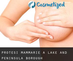 Protesi mammarie a Lake and Peninsula Borough