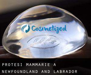 Protesi mammarie a Newfoundland and Labrador
