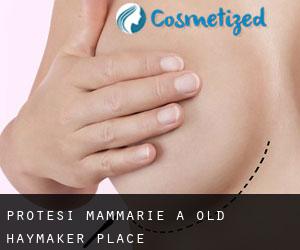 Protesi mammarie a Old Haymaker Place