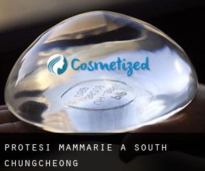 Protesi mammarie a South Chungcheong Protesi mammarie a South Chungcheong