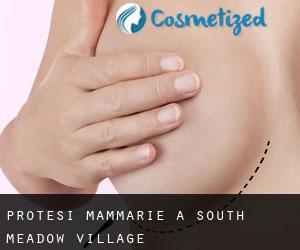 Protesi mammarie a South Meadow Village
