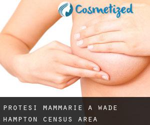 Protesi mammarie a Wade Hampton Census Area
