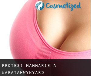 Protesi mammarie a Waratah/Wynyard Protesi mammarie a Waratah/Wynyard