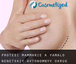 Protesi mammarie a Yamalo-Nenetskiy Avtonomnyy Okrug