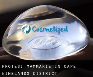 Protesi mammarie in Cape Winelands District Municipality da città - pagina 4
