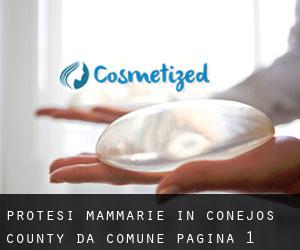 Protesi mammarie in Conejos County da comune - pagina 1