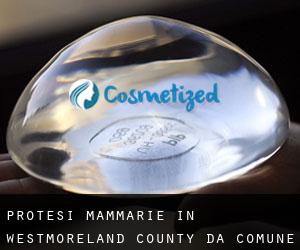 Protesi mammarie in Westmoreland County da comune - pagina 8