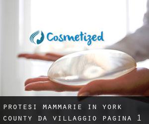Protesi mammarie in York County da villaggio - pagina 1