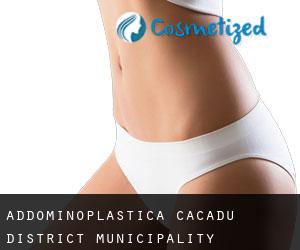 Addominoplastica Cacadu District Municipality