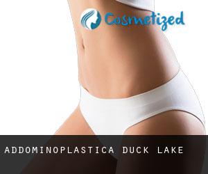 Addominoplastica Duck Lake