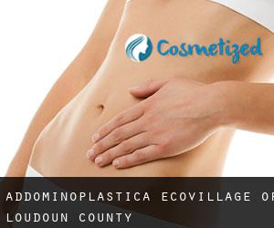 Addominoplastica EcoVillage of Loudoun County