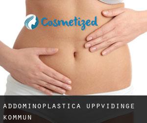 Addominoplastica Uppvidinge Kommun Addominoplastica Uppvidinge Kommun
