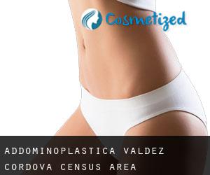 Addominoplastica Valdez-Cordova Census Area Addominoplastica Valdez-Cordova Census Area