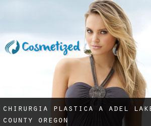 chirurgia plastica a Adel (Lake County, Oregon)