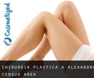 chirurgia plastica a Alexandra (census area)