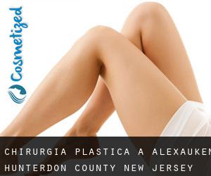 chirurgia plastica a Alexauken (Hunterdon County, New Jersey)