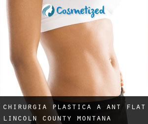chirurgia plastica a Ant Flat (Lincoln County, Montana)