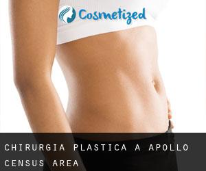 chirurgia plastica a Apollo (census area)