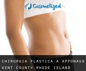 chirurgia plastica a Apponaug (Kent County, Rhode Island)