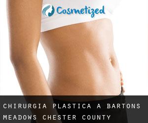 chirurgia plastica a Bartons Meadows (Chester County, Pennsylvania)