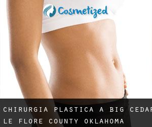 chirurgia plastica a Big Cedar (Le Flore County, Oklahoma)
