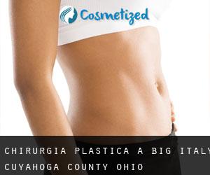 chirurgia plastica a Big Italy (Cuyahoga County, Ohio)